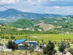 cac luat moi co hieu luc tu 1 8 tac dong ra sao toi thi truong dat nen